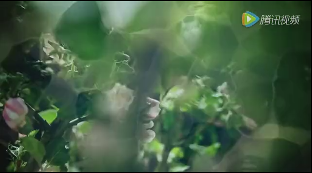 穿行莫纳小镇（唐朱迪）